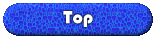 $t xx