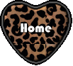 $t xx