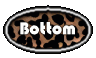 $t xx