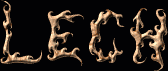 Lech First Name