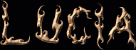 Lucia First Name