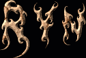 Ryn First Name