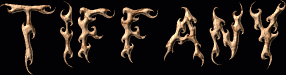Tiffany First Name