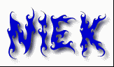 Niek First Name