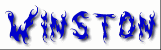 Winston First Name