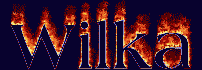 Wilka First Name