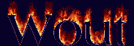 Wout First Name