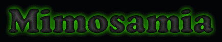 Mimosamia First Name