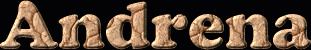 Andrena First Name