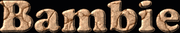 Bambie First Name