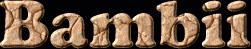 Bambii First Name