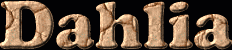 Dahlia First Name