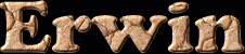 Erwin First Name