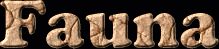 Fauna First Name