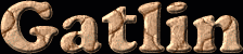 Gatlin First Name