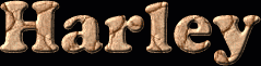 Harley First Name