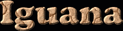 Iguana First Name