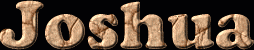 Joshua First Name