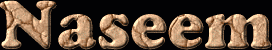 Naseem First Name