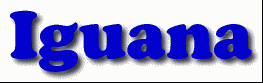 Iguana First Name