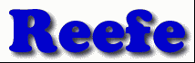 Reefe First Name