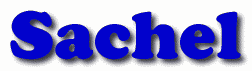 Sachel First Name
