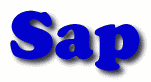 Sap First Name