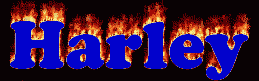 Harley First Name