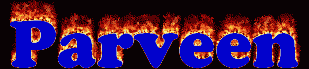 Parveen First Name