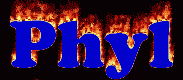 Phyl First Name