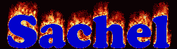 Sachel First Name