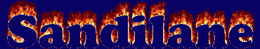 Sandilane First Name