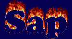 Sap First Name