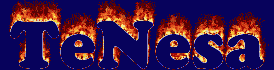 TeNesa First Name