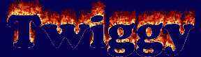 Twiggy First Name