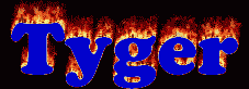 Tyger First Name