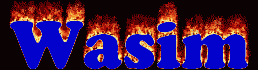 Wasim First Name
