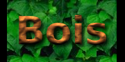 Cliquez pour faire un logo comme celui-ci Lettres en bois